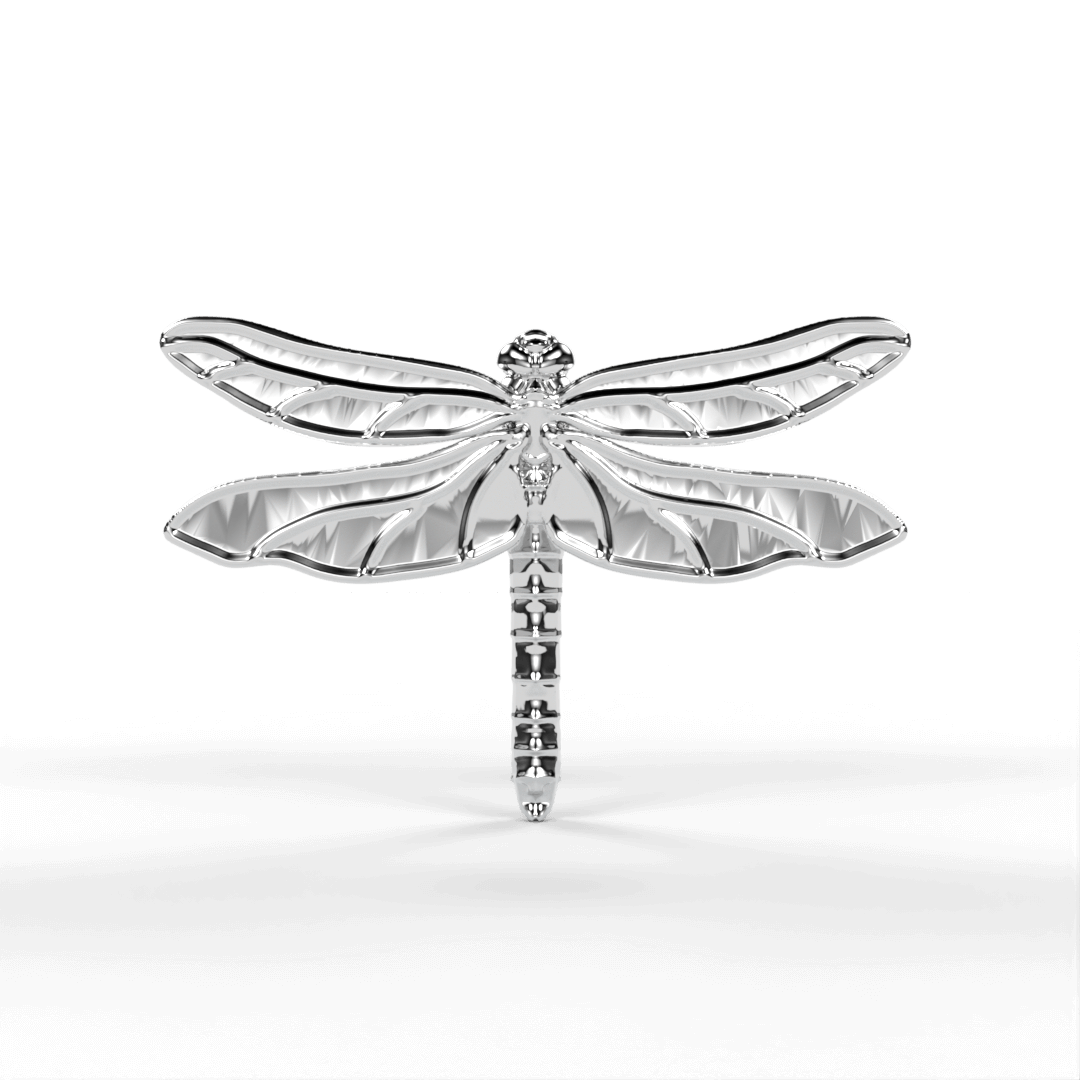 A World on the Wings